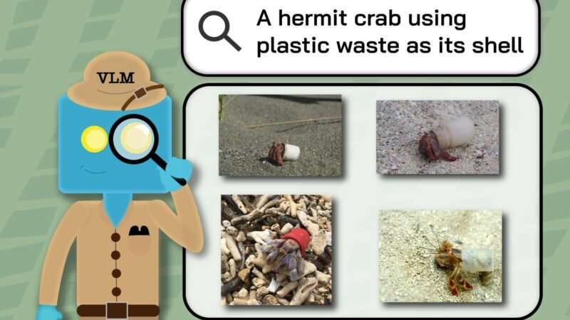 Ecologists find computer vision models’ blind spots in retrieving wildlife images | MIT News